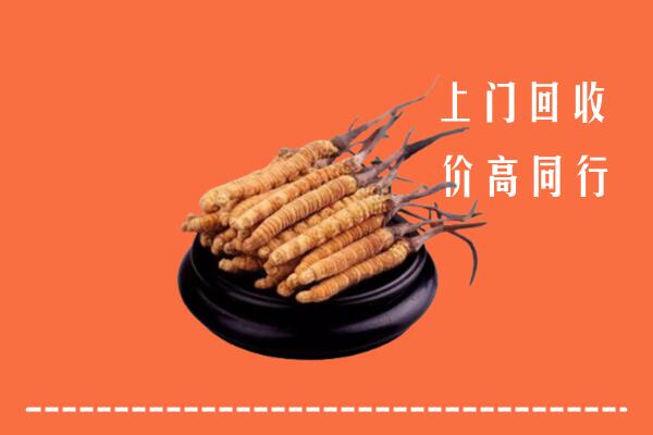 高价求购：金溪县回收散虫草
